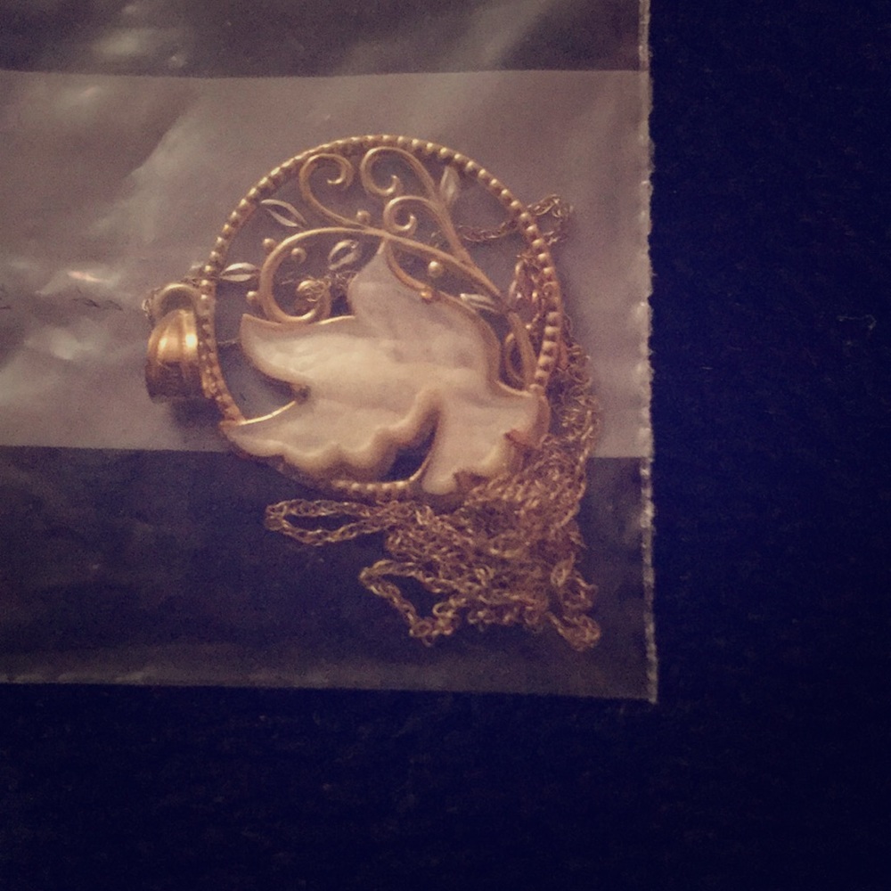 Gold surrounded silver dove necklace